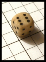 Dice : Dice - 6D - White Stone Tiny - Ebay Feb 2012